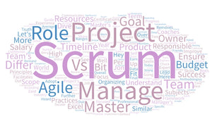 The Role of a Scrum Project Manager in Agile Project Management