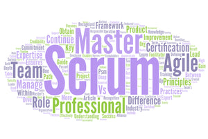 Demystifying the Professional Scrum Master: A Comprehensive Overview